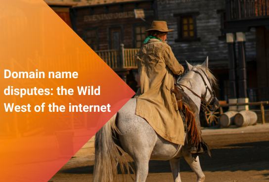 Domain name disputes: the Wild West of the internet