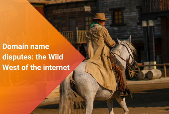 Domain Name Disputes: the Wild West of the Internet